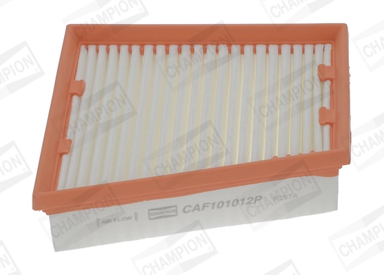 Air Filter CAF101012P