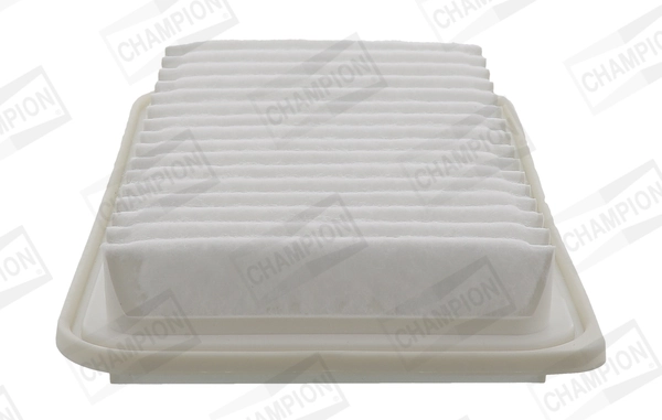 Luftfilter CAF101953P