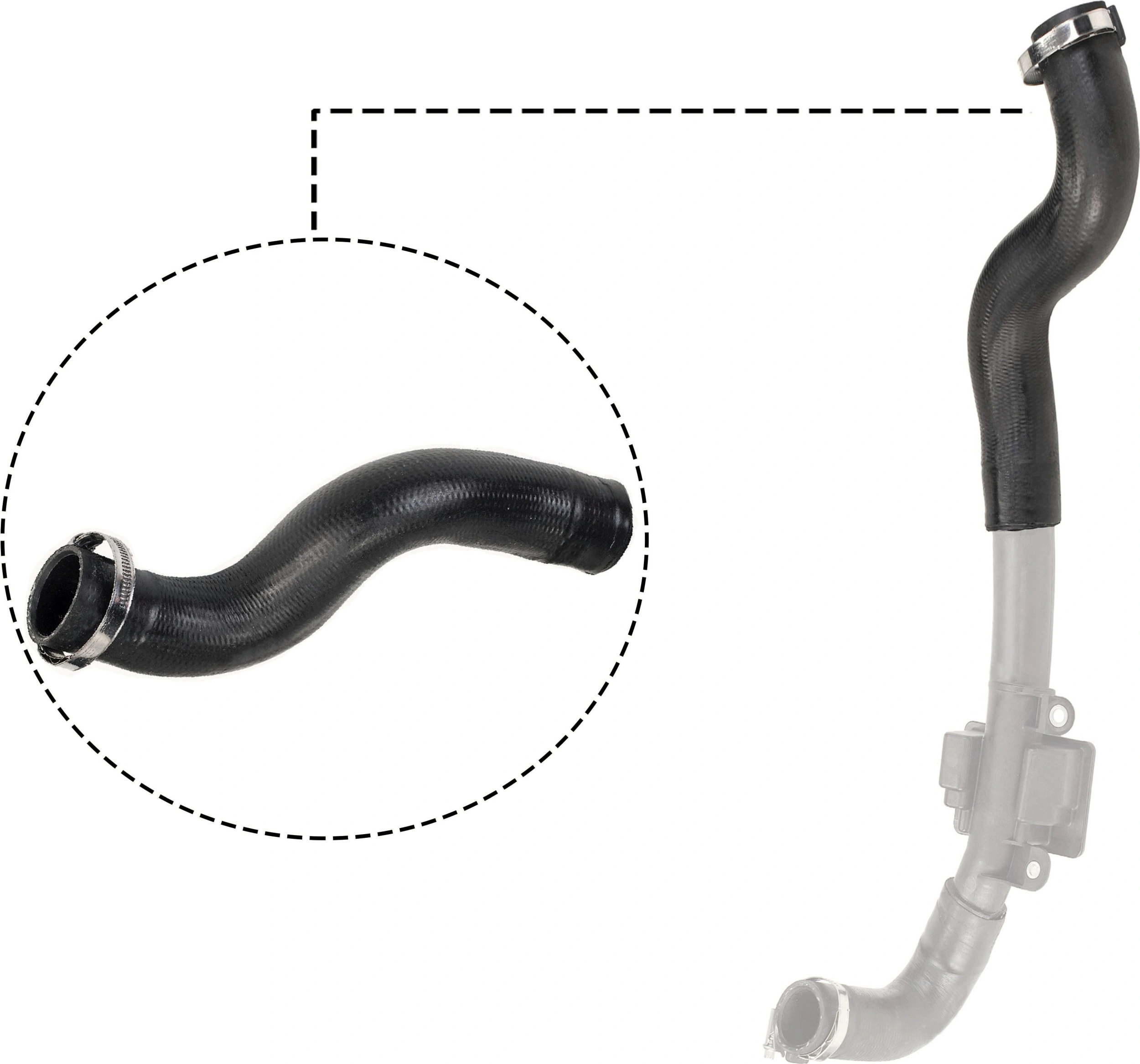 Charge Air Hose R12501