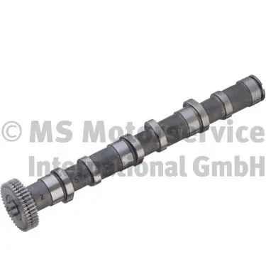 Camshaft 50006345