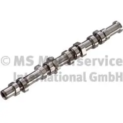 Camshaft 50007677