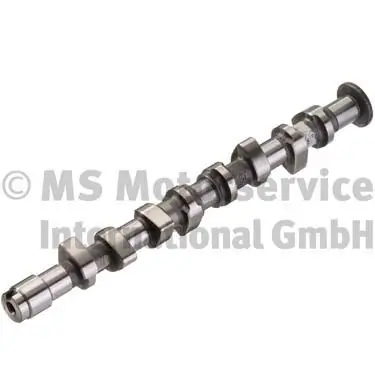 Camshaft 50006381