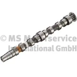 Camshaft 50007678