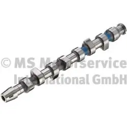 Camshaft 50006202