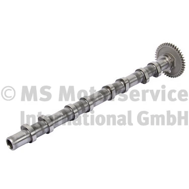 Camshaft 50007785