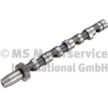 Camshaft 50006301