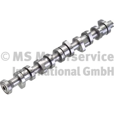 Camshaft 50006110