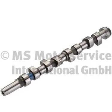 Camshaft 50007029