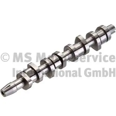 Camshaft 50006304