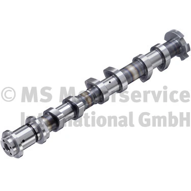 Camshaft 50056016