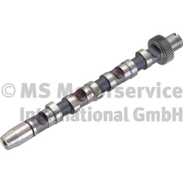 Camshaft 50006300
