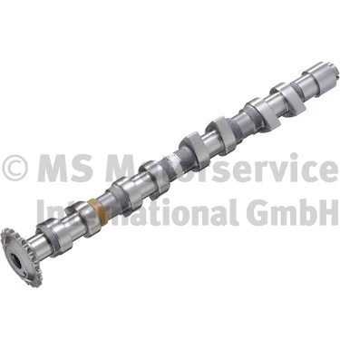 Camshaft 50006308