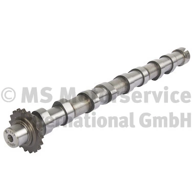 Camshaft 50007871