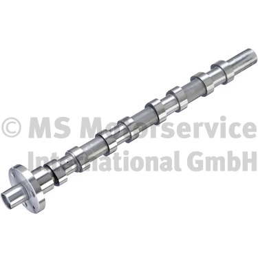 Camshaft 50007923