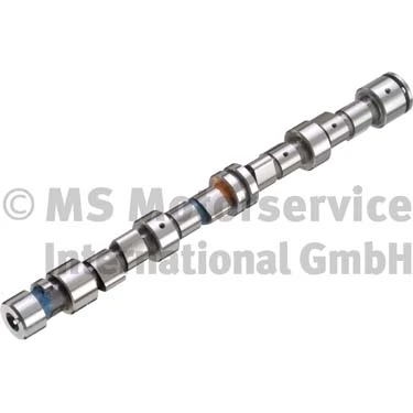 Camshaft 50006256