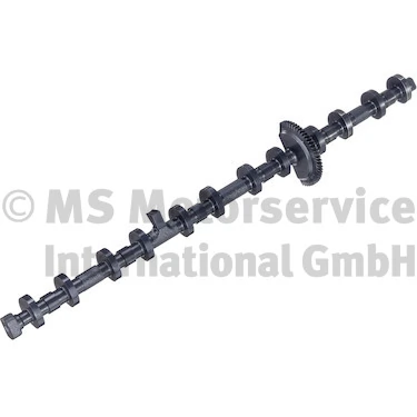 Camshaft 50007851