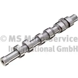 Camshaft 50007654