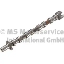 Camshaft 50007708
