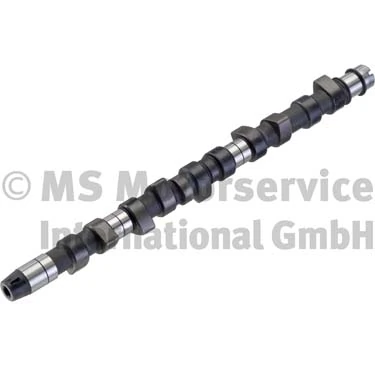 Camshaft 50006216