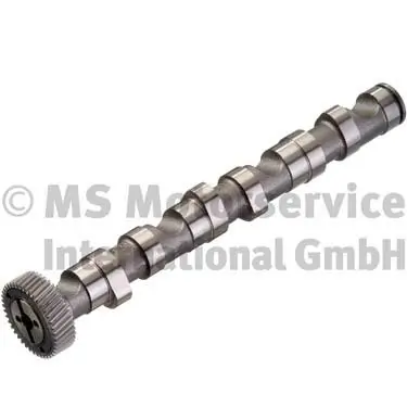 Camshaft 50006302