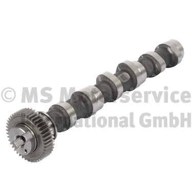 Camshaft 50007675
