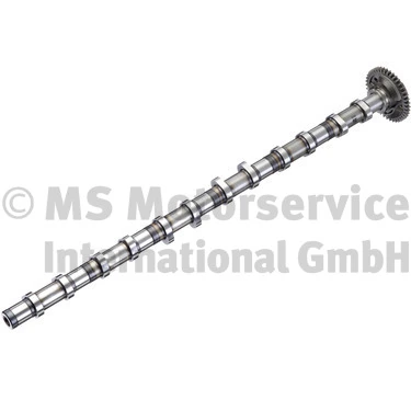 Camshaft 50056025
