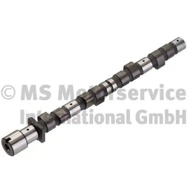 Camshaft 50006235