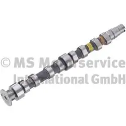 Camshaft 50007679