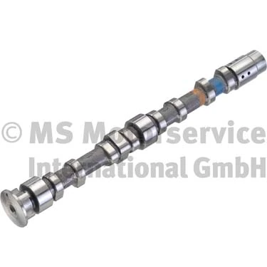 Camshaft 50007018