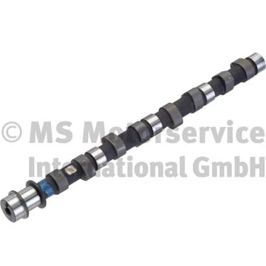 Camshaft 50006310