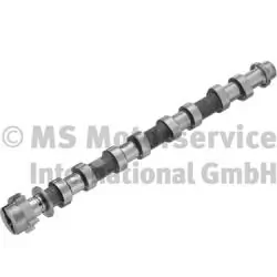 Camshaft 50007710