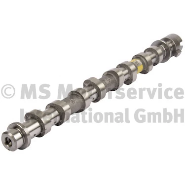 Camshaft 50007854