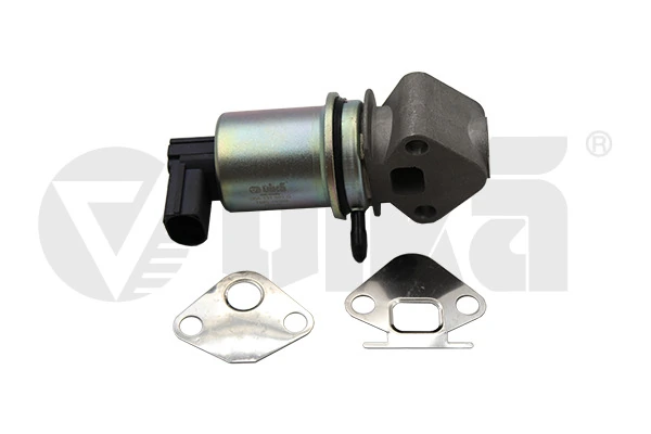 EGR Valve 11311009801