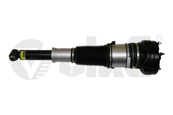 Air Suspension Strut 56160000601