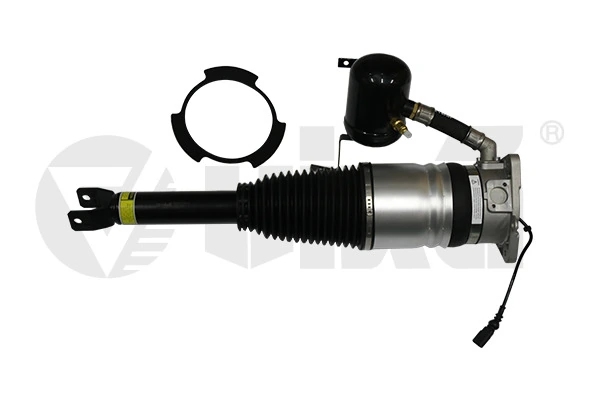 Air Suspension Strut 46160000401