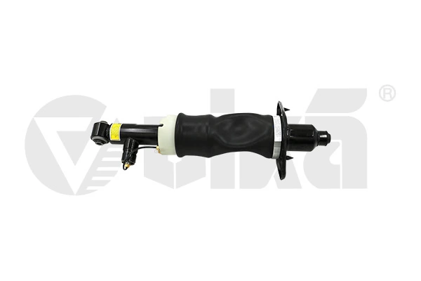 Air Suspension Strut 66160001201