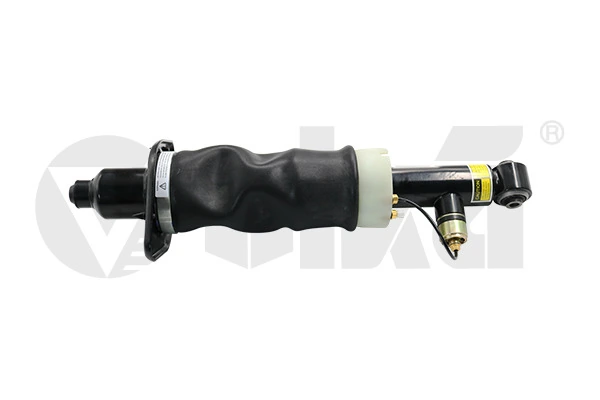 Air Suspension Strut 66160001101
