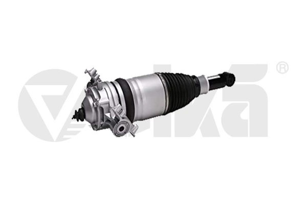 Air Suspension Strut 46160001201
