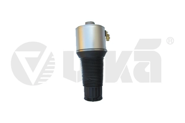 Air Suspension Strut 46160001301