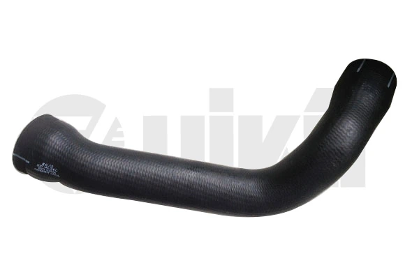 Charge Air Hose 11451779901