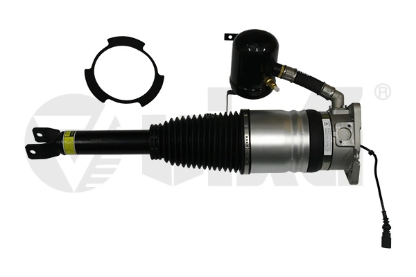 Air Suspension Strut 46160000301