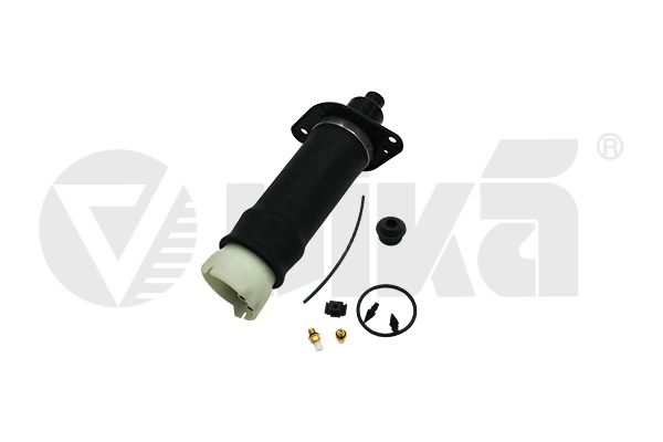 Air Suspension Strut 66160001401
