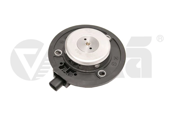 Central Magnet, camshaft adjustment 11091484901