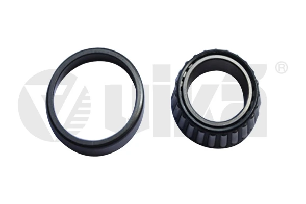 Bearing, differential 55190000101