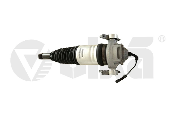 Air Suspension Strut 46160001101