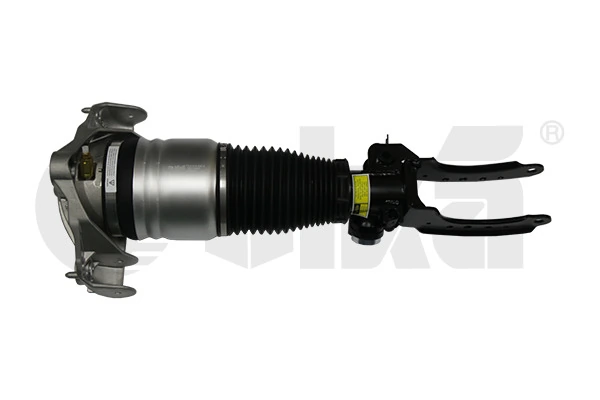 Air Suspension Strut 46160000601