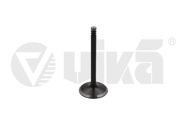 Intake Valve 11090177601