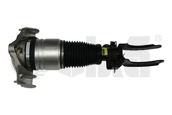 Air Suspension Strut 46160000501