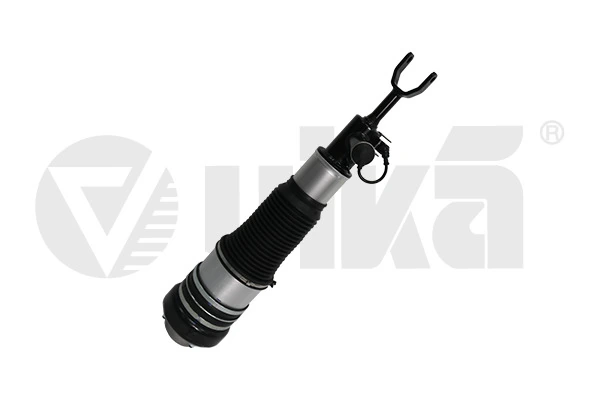 Air Suspension Strut 46160002301