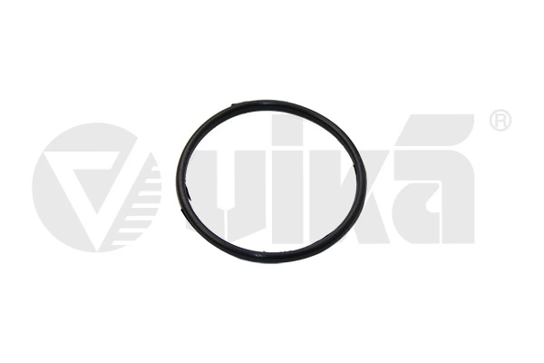 Seal, thermostat 11210156701